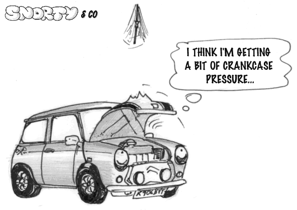 Check Your Mini Bonnet, with Cooper Stripes upon it