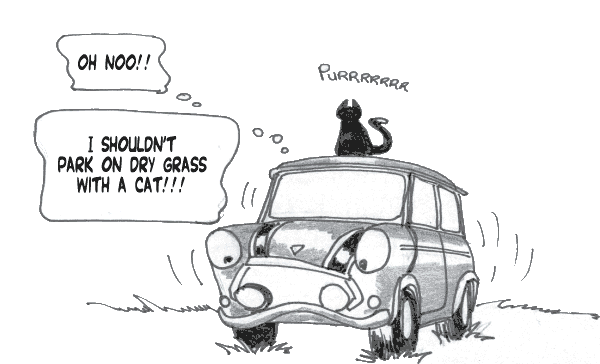 miaow