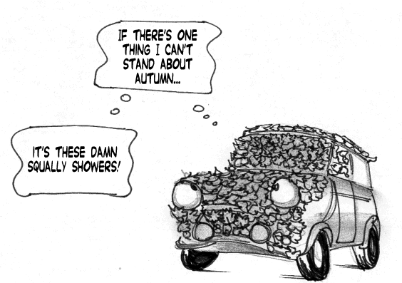 wind plus leaves plus rain