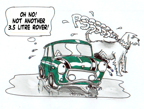 3 Litres isn't always a good thing.